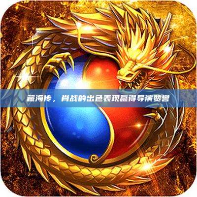 藏海传,肖战的出色表现赢得导演赞誉