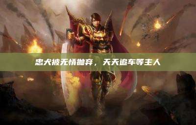 忠犬被无情抛弃,天天追车等主人