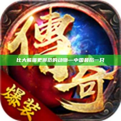 比大熊猫更濒危的动物—中国最后一只