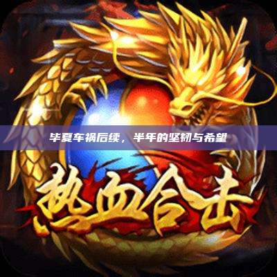 毕夏车祸后续,半年的坚韧与希望