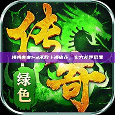 梅州客家1-3不敌上海申花,实力差距尽显